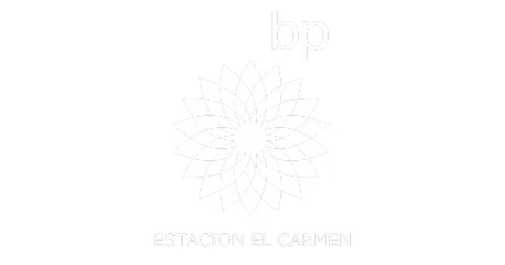 BP Estacion El Carmen