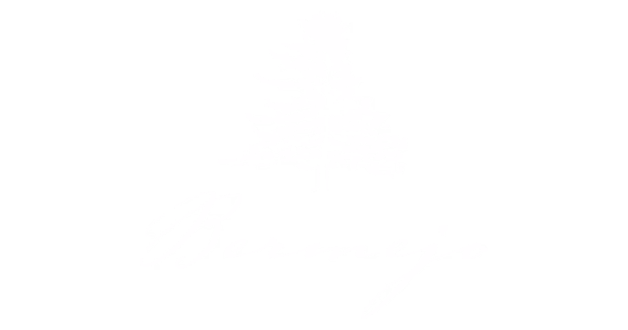 Bermejo