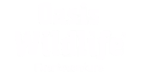 Oasis Wildlife Fuerteventura